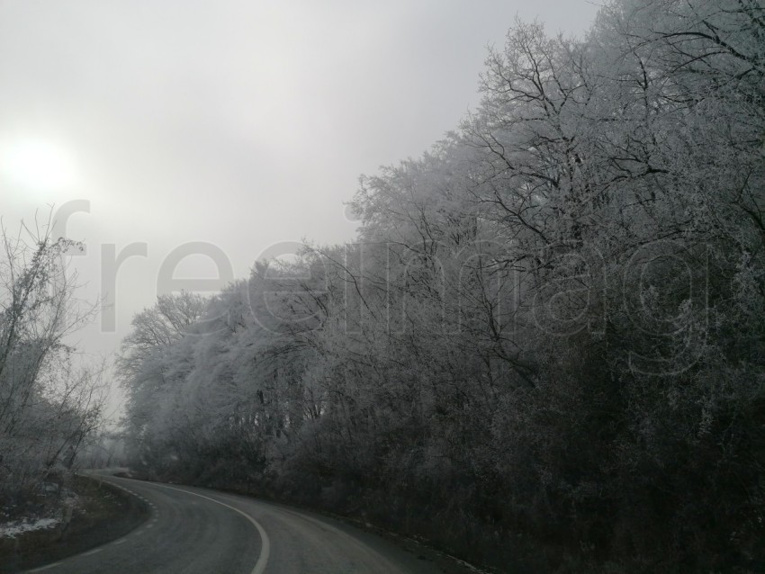 Carretera solitaria en un bosque nevado en Transilvania, Rumanía