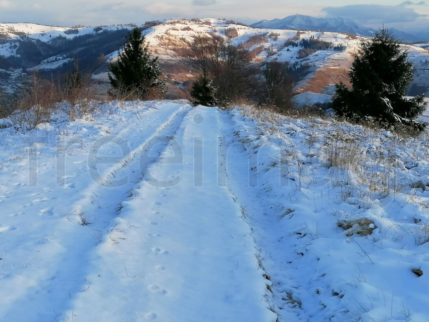 Sendieron cubierto de nieve paisaje de invierno