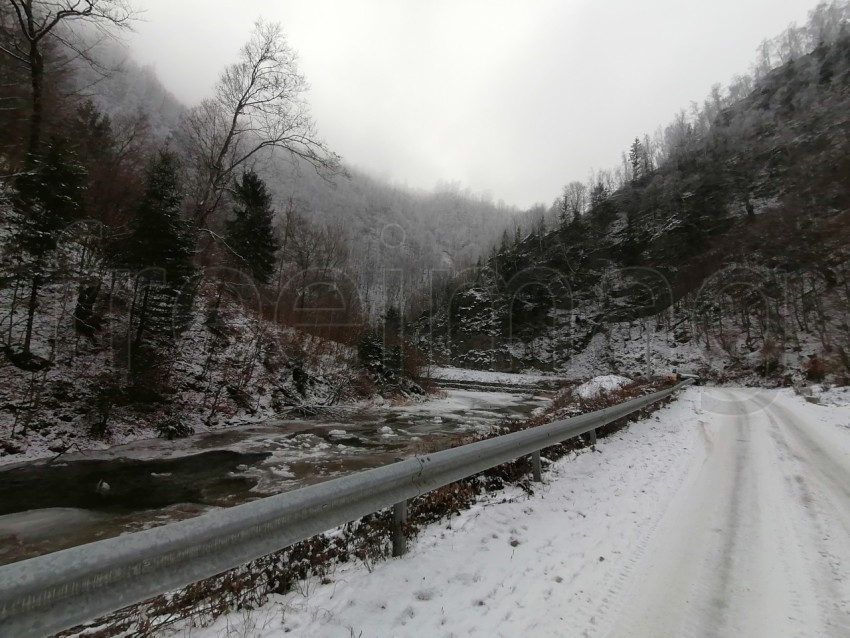 Paisaje de invierno bosque en Transilvania
