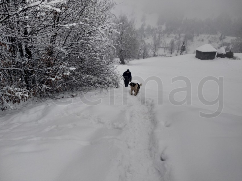 Paisaje de invierno en las zonas rurales de la región de Transilvania, Rumania,