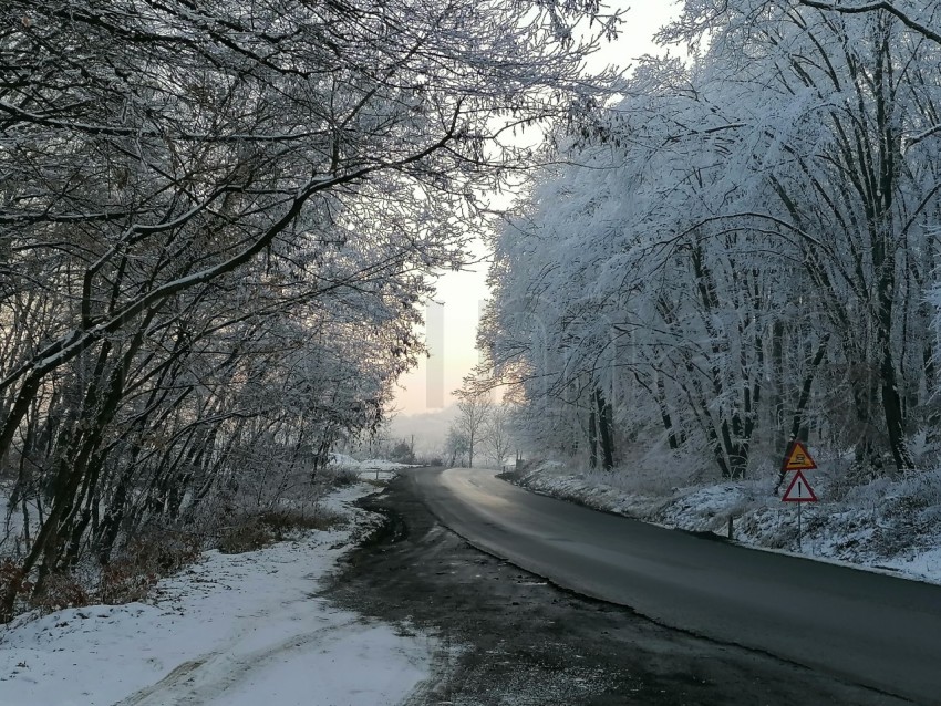 Encanto invernal en los Cárpatos de Transilvania"