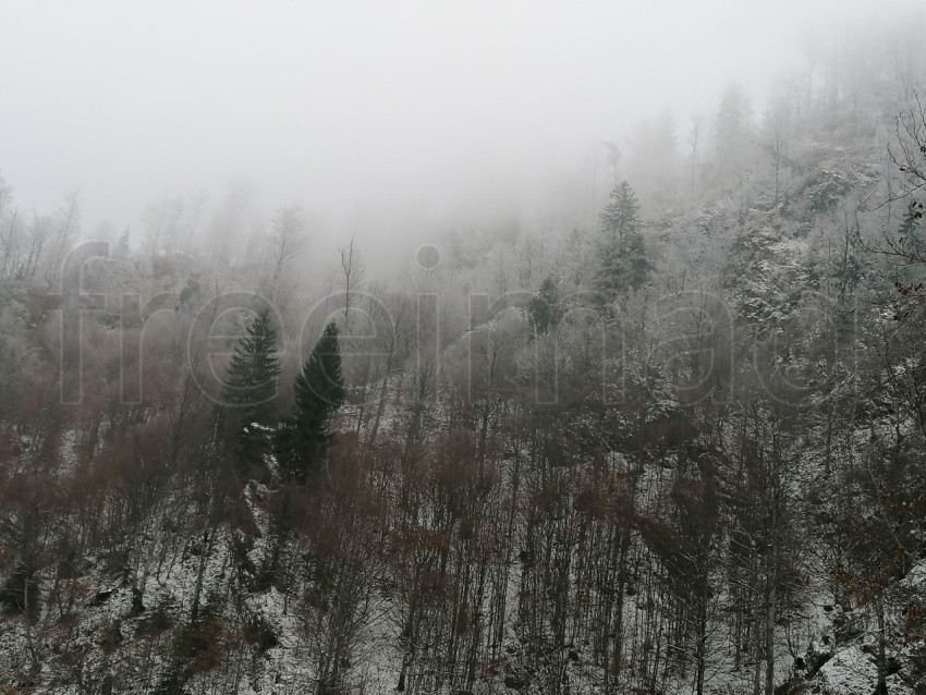 El abrazo del invierno: Un paisaje nevado en Transilvania