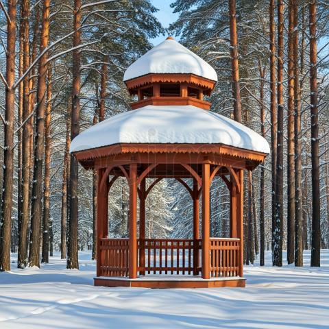 Pabellon Fotografía de invierno La belleza de la naturaleza
