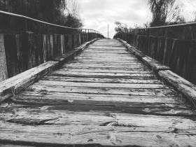 Camino de madera imagen en blanco negro