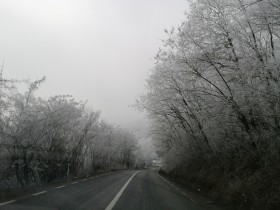 Carretera solitaria en un bosque nevado en Transilvania, Rumanía